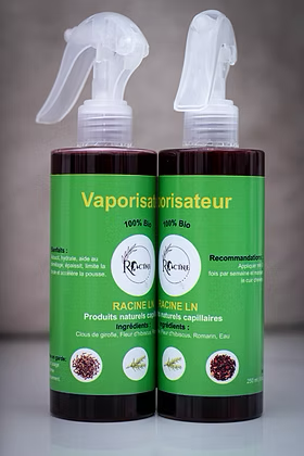 Vaporisateur