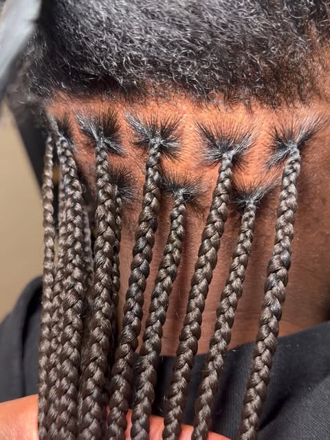 Knotless braids/ twists - Large